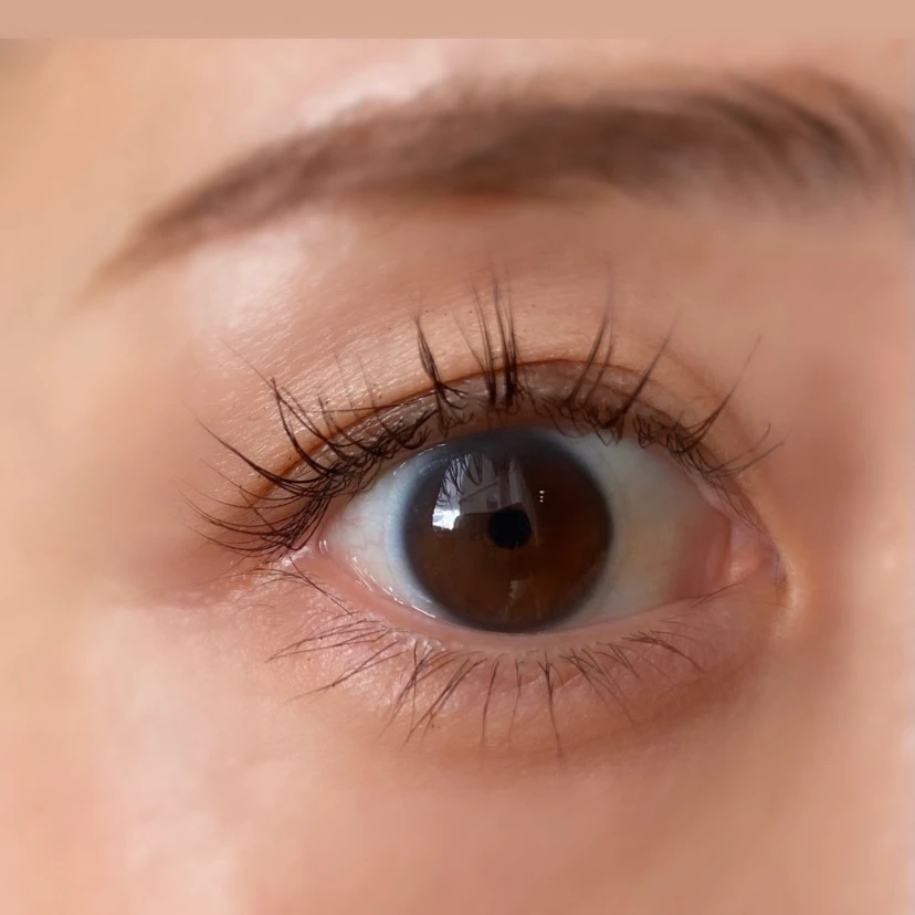 ＼保存版／【パクミニョン様出演】3650新作発表会の豪華イベントの様子と11月1日発売のマスカラ全部見せます‼︎_31_1