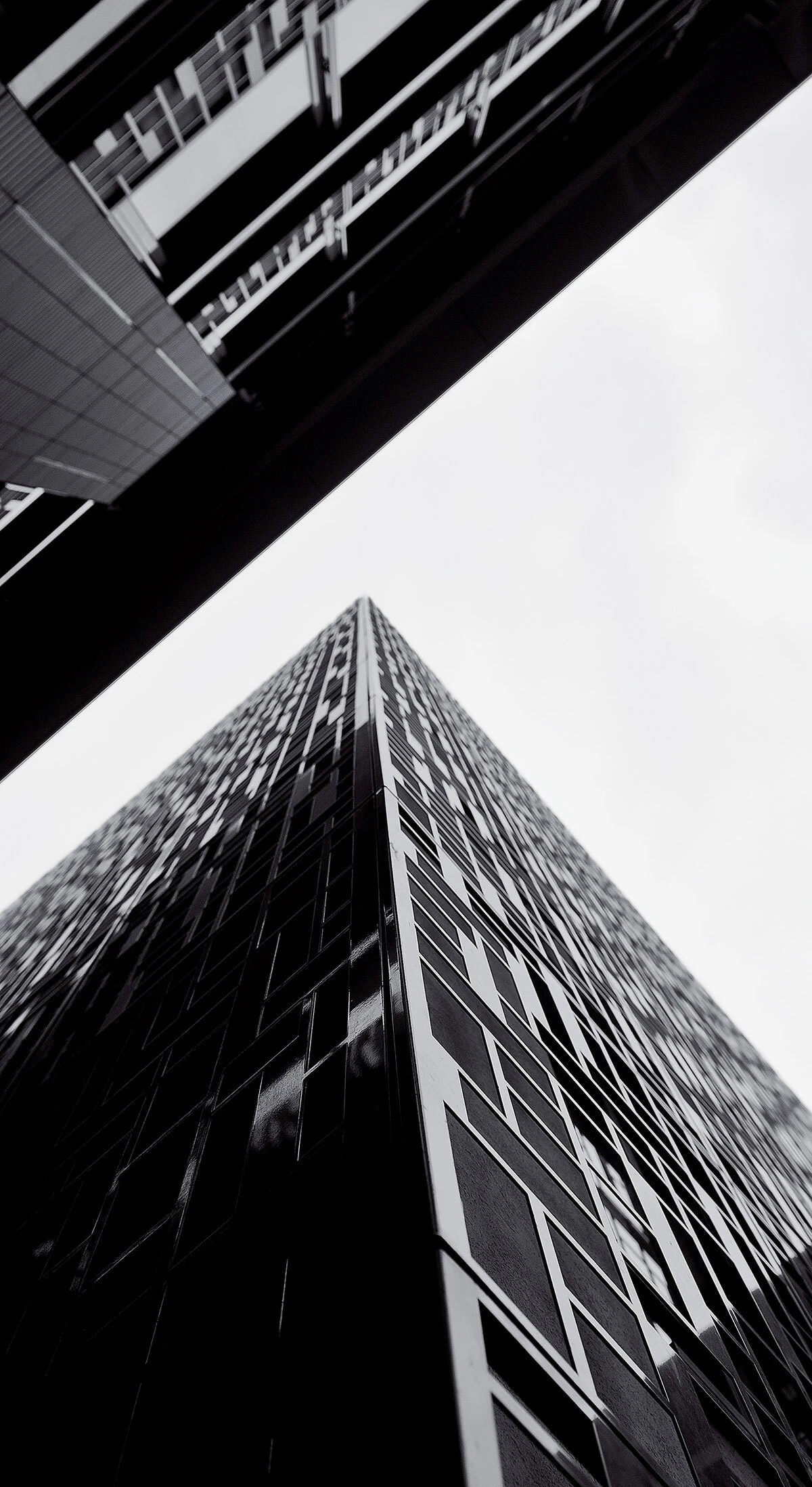 CHANEL 先進の「セネッセンス」研究から紐解く、美しい肌の未来_3