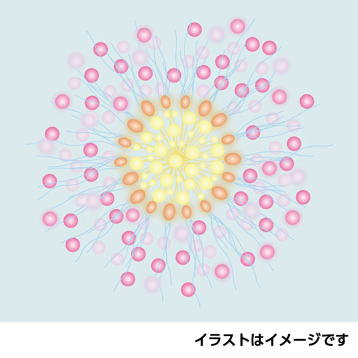 齋藤薫が読み解く、オーラとは、輝きとは――　「細胞から美しい」肌を考察_4