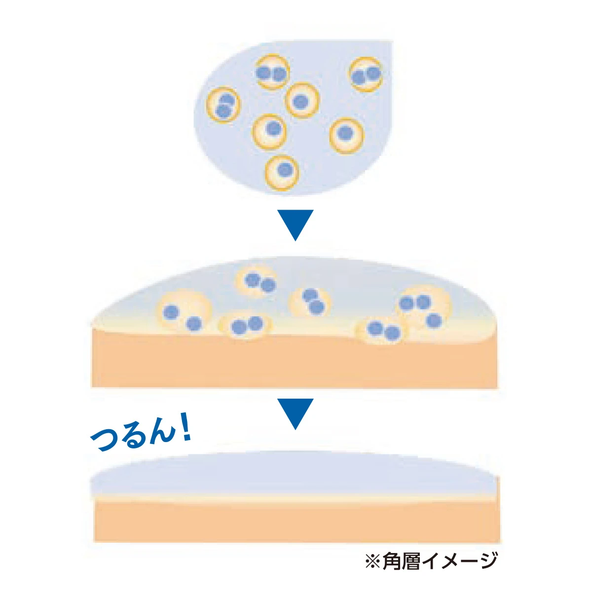 美肌に欠かせないキー成分「浸透美容アミノ酸※1」を配合して進化。新アクアレーベルのオールインワンで、毎日頑張る肌にご褒美エステ _6