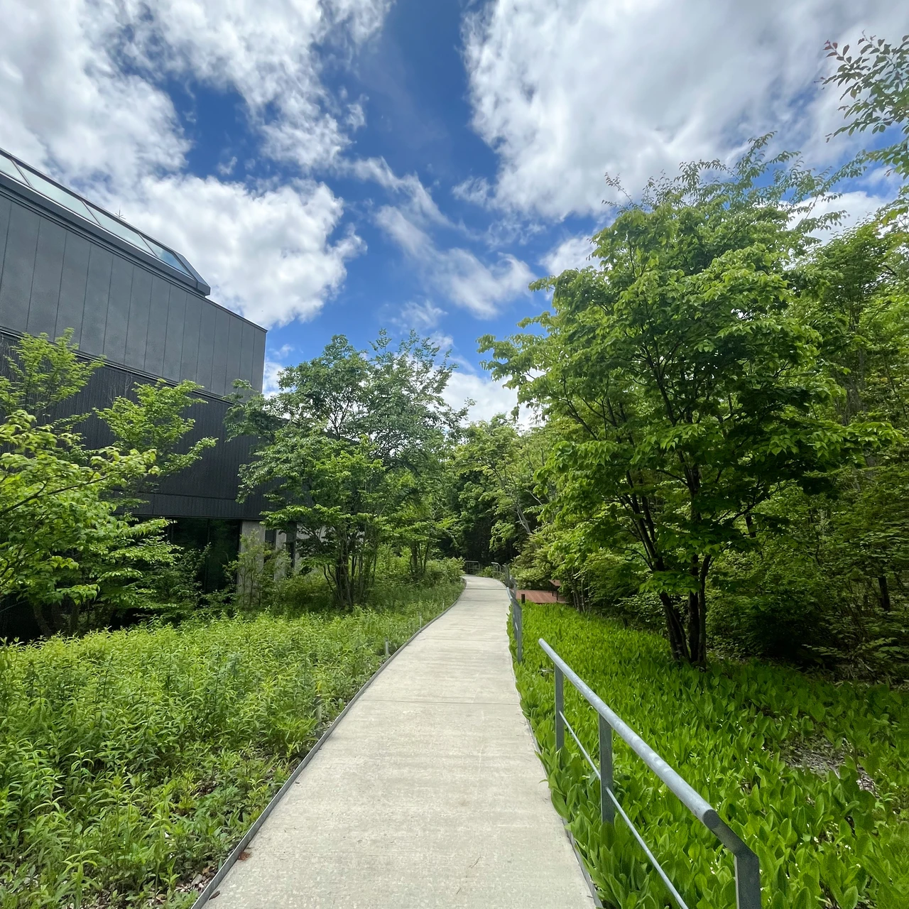 ＜アルソア本社を訪問＞社員さんがみな綺麗なのはなぜ？歴史ある洗顔石鹸【アルソア クイーンシルバー】を作る会社の美の秘密に迫る。【ARSOA】_15_2