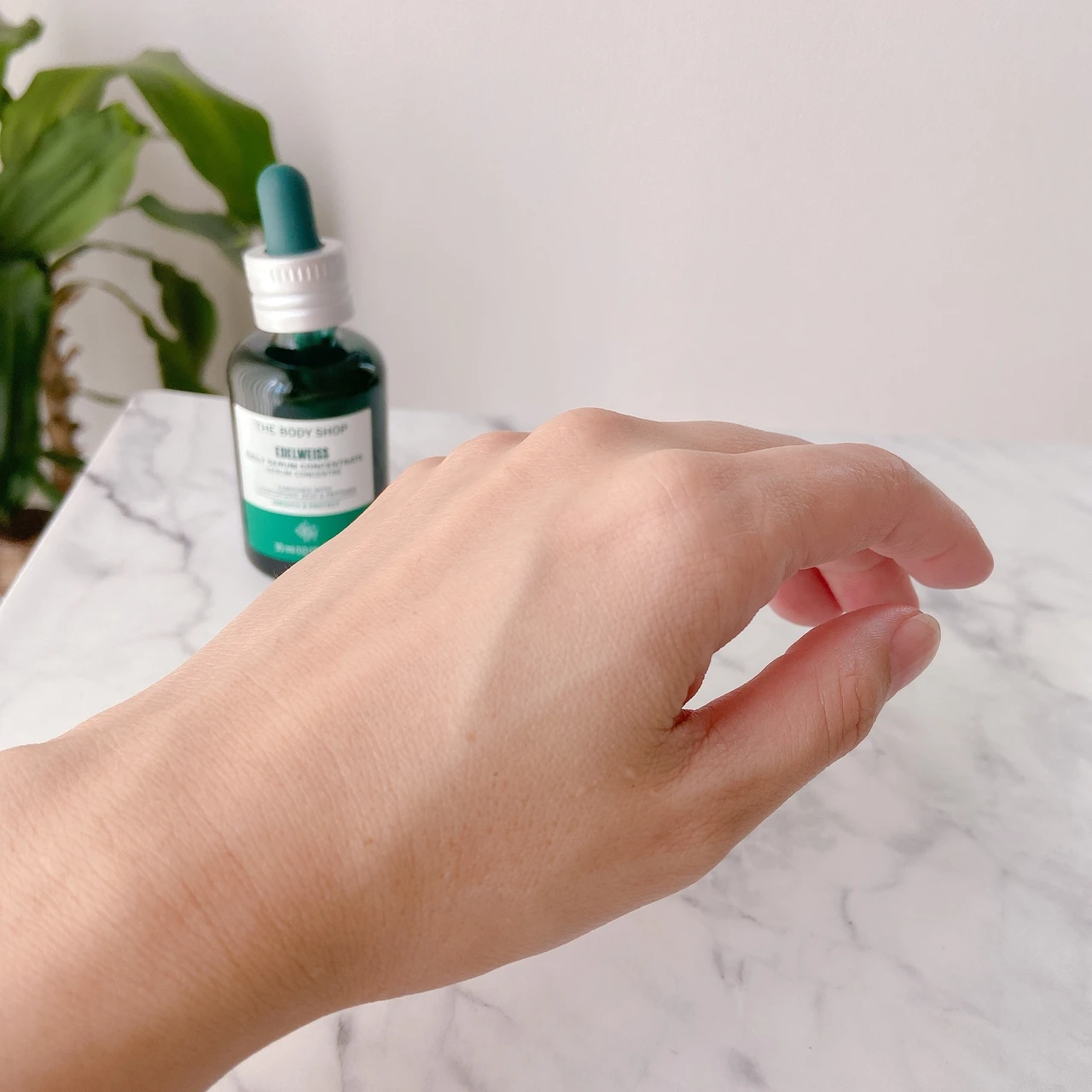 【強さみなぎるハリ肌へ💪】エーデルワイスパワーでお肌もっちもち✨THE BODY SHOP「エーデルワイス コンセントレート セラム」🌿_2_3