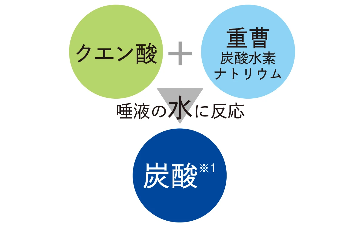 ピュオーラ炭酸ハミガキ　処方内成分　歯磨き粉