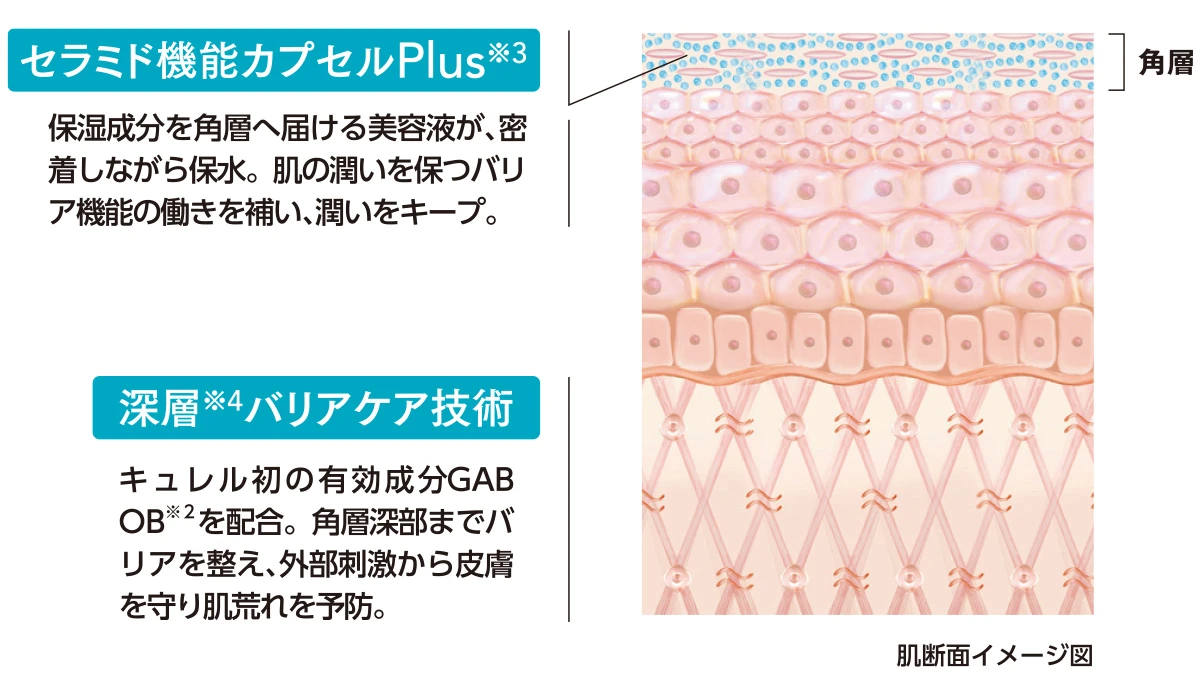 キュレル 潤浸保湿 角層深部バリア美容液　角層イメージ図