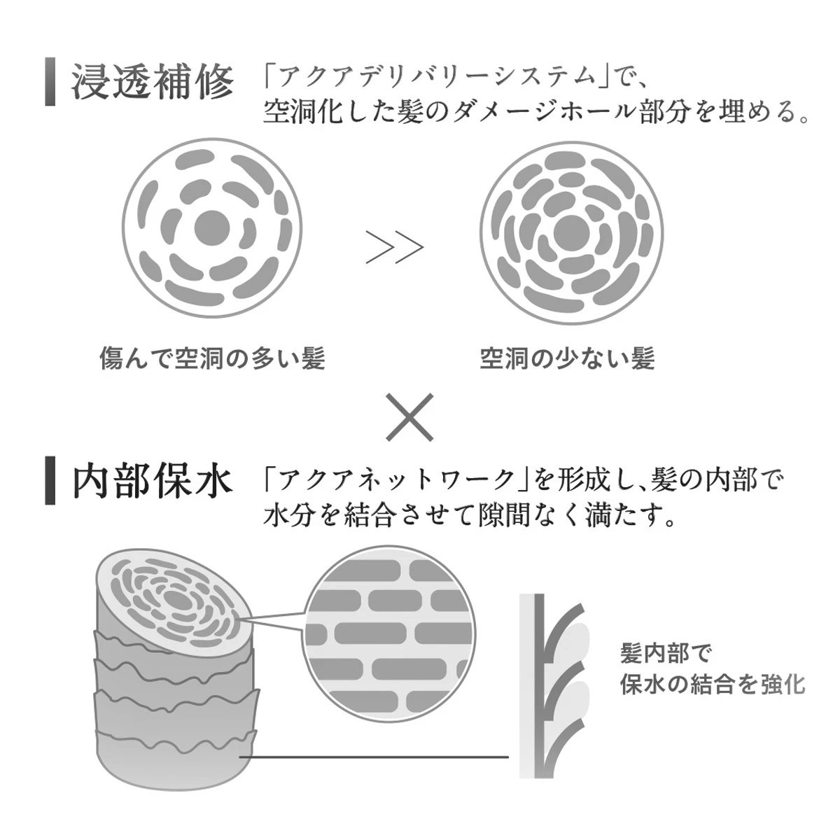 “保湿”を超えた“保水”ヘアケア。スキンケア発想の「エイトザタラソ」で、内側からうるおう“ぷるん髪”へ! _3