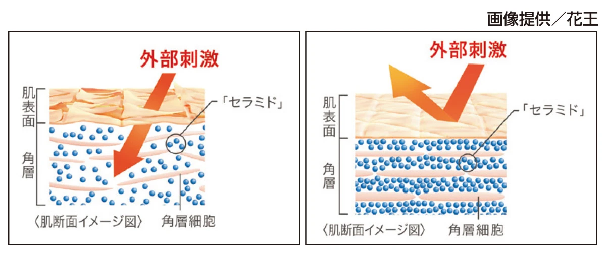 キュレル　Why セラミド？