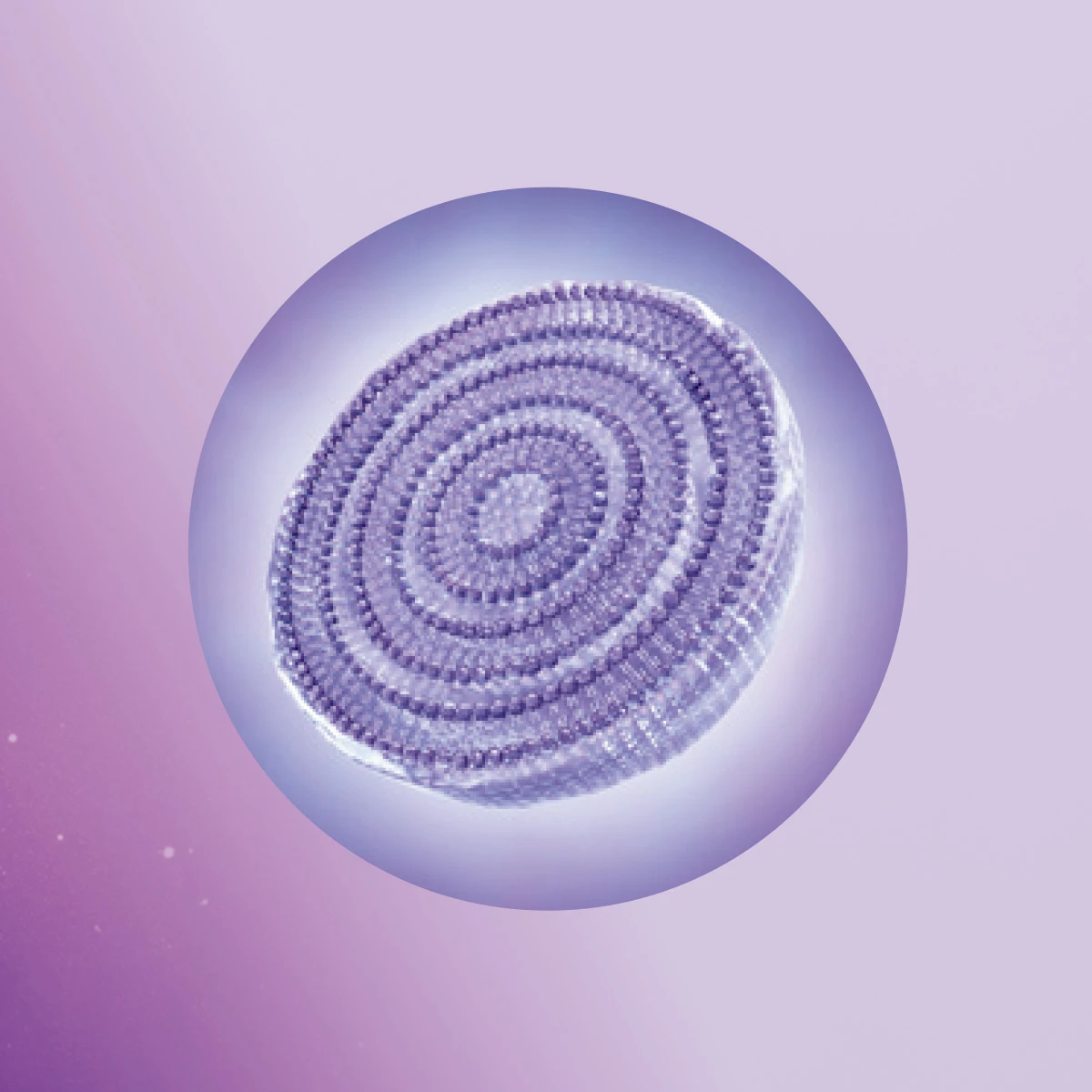 唇用多重層バイオリポソームを新開発!