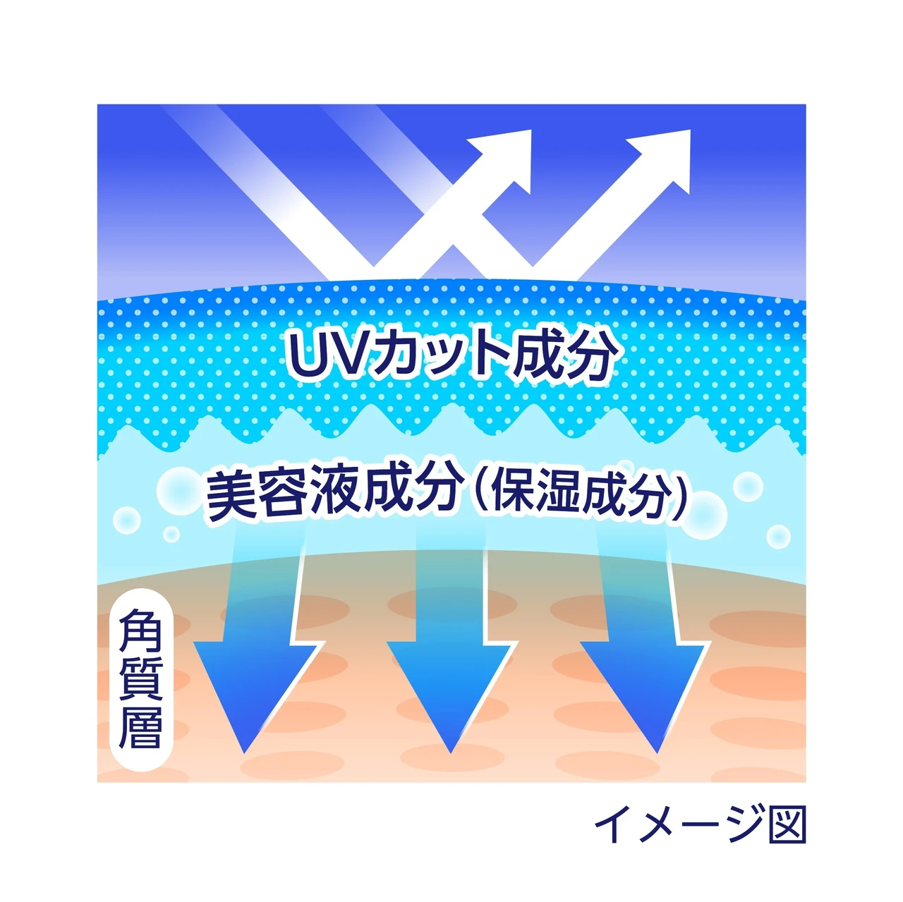 環境に配慮しながら、高UVカットも使い心地のよさも叶える日焼け止め誕生_2