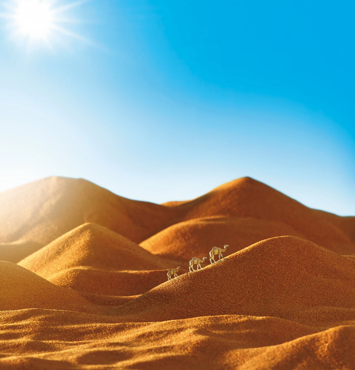 エスト アタカマ砂漠 極度の乾燥