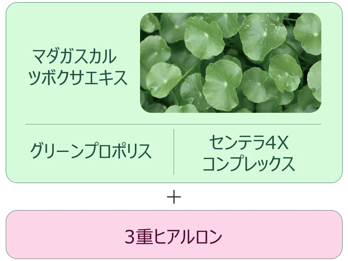 マスク荒れの救世主!「1日1CICA」習慣でゆるがない健やかな肌へ
_2
