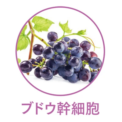 エレクトロン タイトニングミスト ブライト ブドウ幹細胞