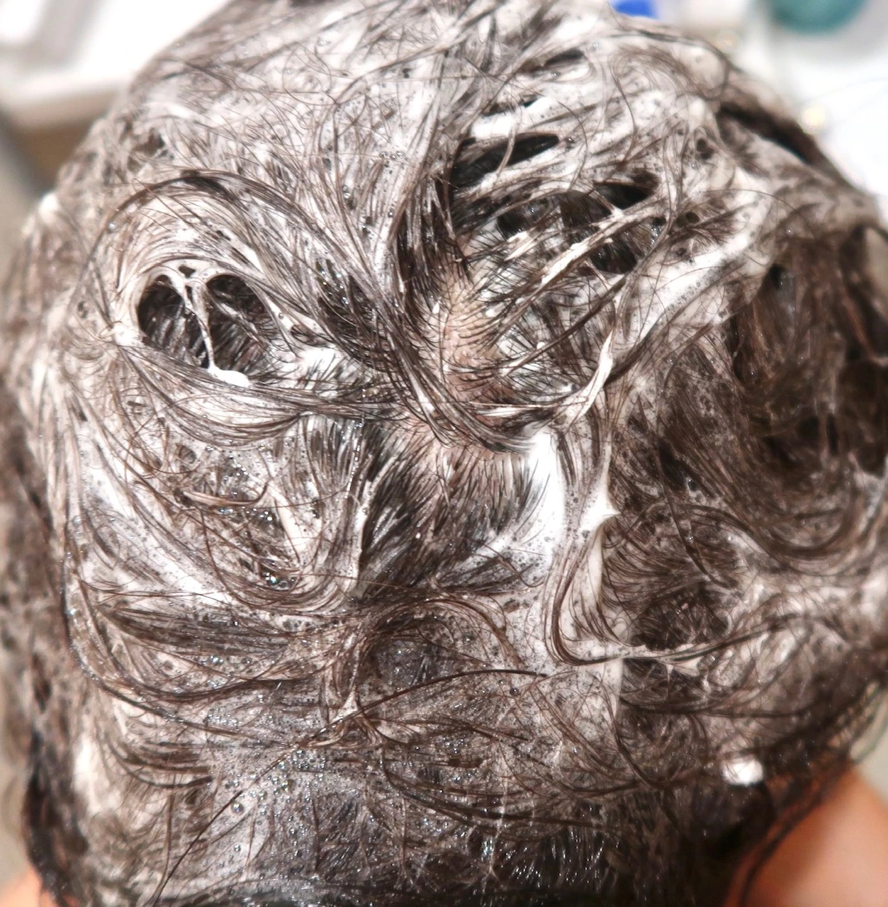 【SABON「ヘッドスクラブ リフレッシング」第2世代】_3