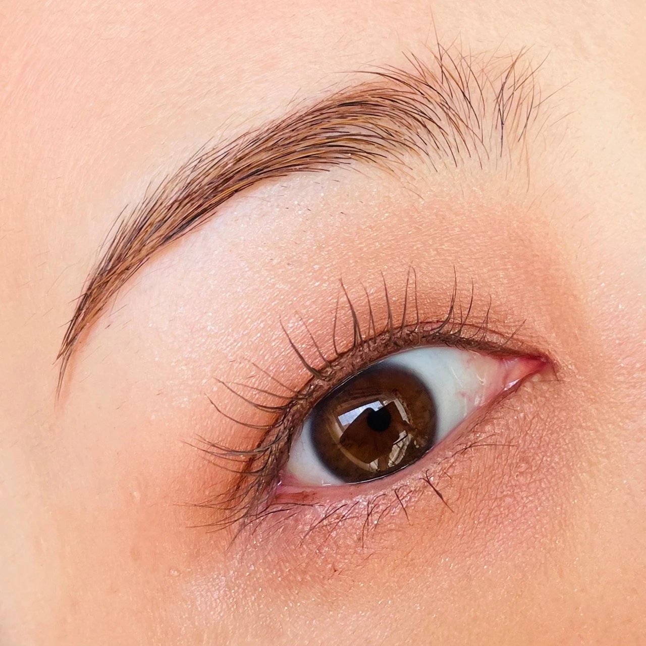 10月9日発売！大人気D-UP(ディーアップ)のマスカラの新色、マロングレージュをご紹介します。※スウォッチ有り_5_1