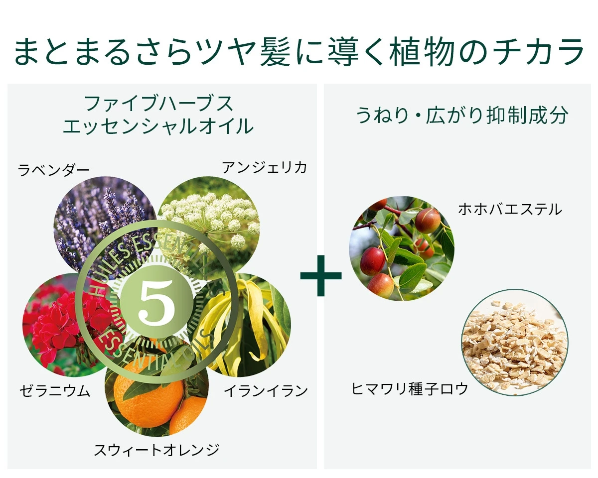 寝起きの髪も瞬時にまとまる“神ミルク”があれば、急なオンライン会議でも大丈夫! 流れるようなさらツヤ髪へ_5