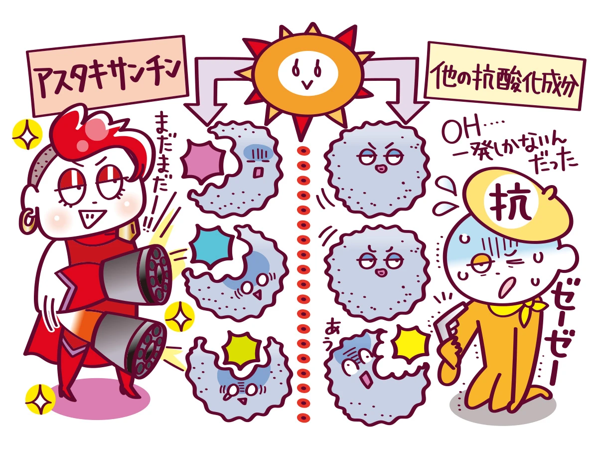 アスタキサンチン 一重項酸素をたくさん、長く消去し続けられる