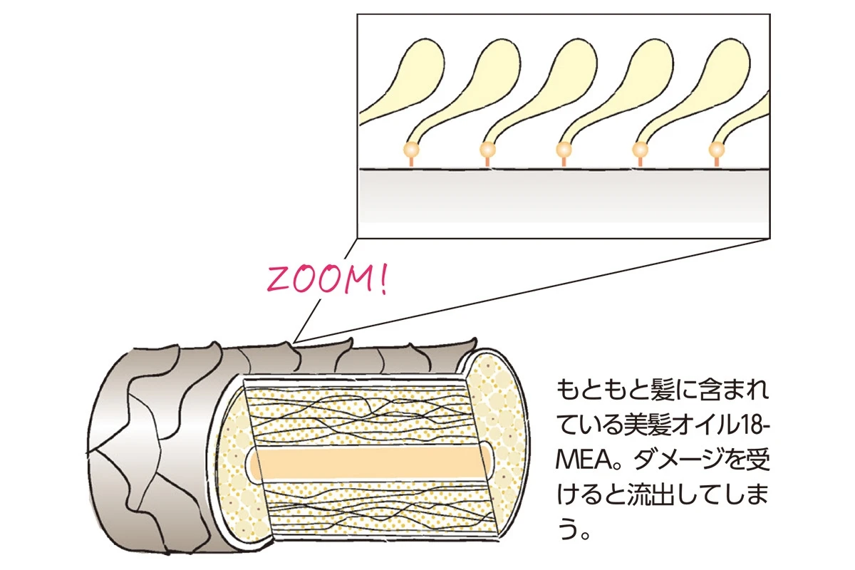 神崎 恵さんと目指す、新しい美髪ケア「髪のキメ美容シリーズ」で毎日happy♪_7