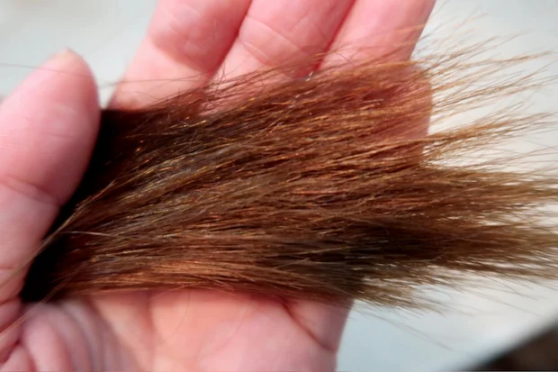 【必見】【最強】「オッス！推しコス」憧れの美髪を手に入れられるアイテムをご紹介します。