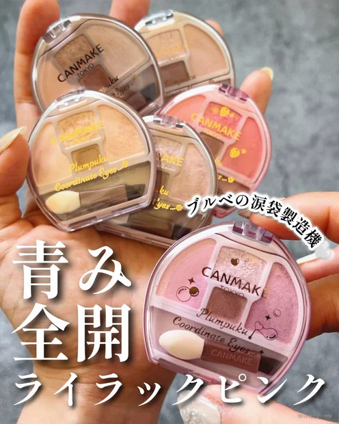 【キャンメイク新色】大人気ぷくぷく♡プランぷくコーデアイズの新色05しゃぼんだまプランぷく登場っ！💗