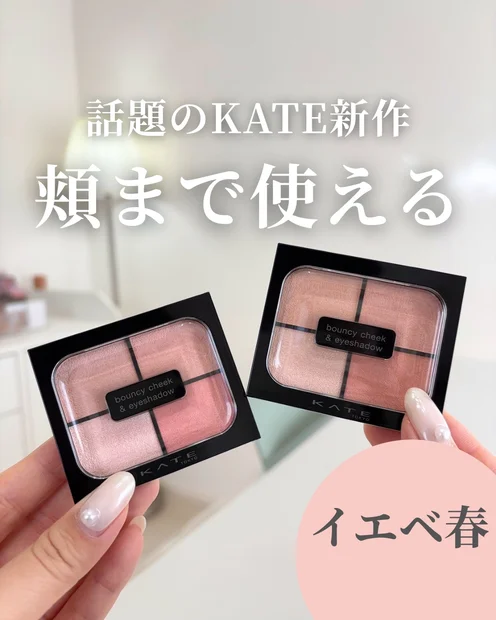 【話題の新作！KATEの新感覚パレット】