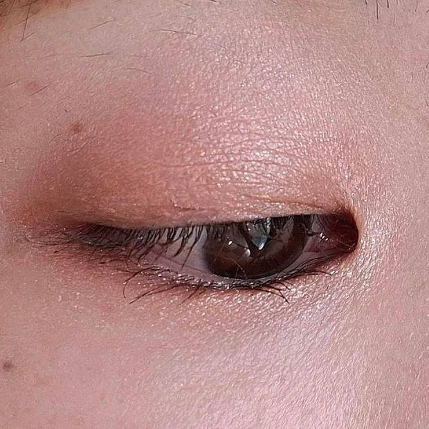 【イエベ春が選ぶ】プチプラアイシャドウ5選！キャンメイク・セザンヌなどのおすすめカラーを厳選