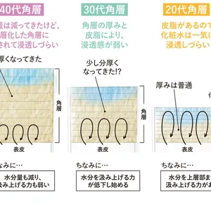 20代、30代、40代の角層の説明