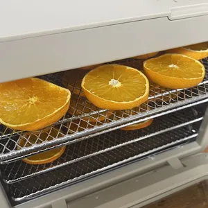 レコルト ドライフード＆ヨーグルトメーカー  口コミ