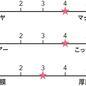 マキアベストコスメ2025下半期　リップ部門5位 シャネル　ルージュ アリュール ヴェルヴェット 77の質感をグラフ化