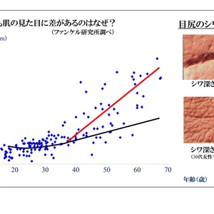 同年代でも肌の見た目に差があるのはなぜ？