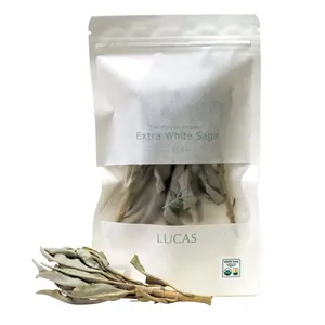 エクストラ・ホワイトセージ 10g ￥1100／LUCAS