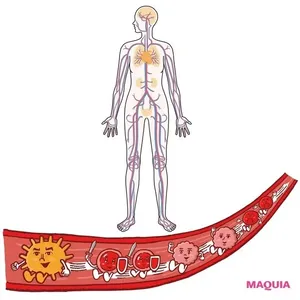 今、意識すべきは“血管力”！ プロが教える血管美容の基礎知識