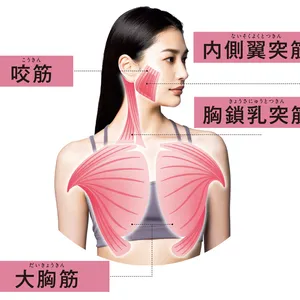 小顔と美肌をつくる美容筋1