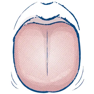 目指せ、日々快調！湿気とのつき合い方 PhotoGallery_1_21