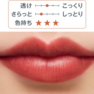 秋 新作 リップ KANEBO ルージュスターブリーズ B109 2