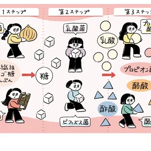 腸活の最前線＆基本を解説！ PhotoGallery_1_11