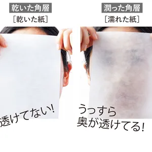 乾いた角層と乾いた角層の違い