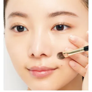 お粉をジグザグと払うように入れ込む