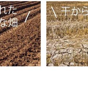 Photo by Shutterstock