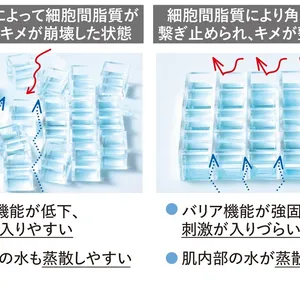 【実験6】角層へ一気に&大量に水分を与えるのは逆効果