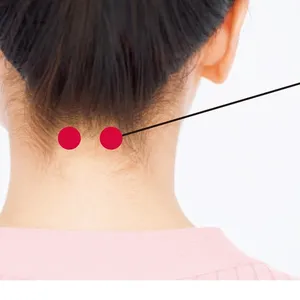 首のツボ、天柱（てんちゅう）