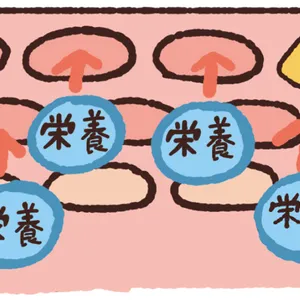 【最新】毛穴、角質ケアの最前線 PhotoGallery_1_3