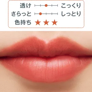 秋 新作 リップ ESTĒE LAUDER ピュア カラー リップスティック ウィスパー マット 136 2