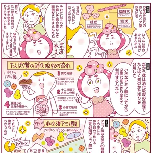 たんぱく質の知識を深めよう