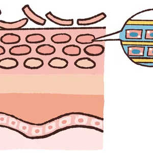 【最新】毛穴、角質ケアの最前線 PhotoGallery_1_2
