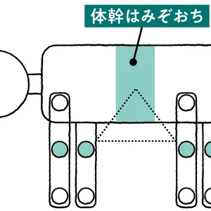 あなたは陰・陽タイプどっち？  正しい体の使い方 PhotoGallery_1_9