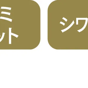 2024年春のパウダーファンデーション PhotoGallery_1_19