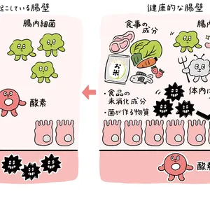 腸活の最前線＆基本を解説！ PhotoGallery_1_8