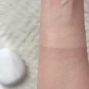 Either& ペブルグロウクッション 17Nバニラのスウォッチ　