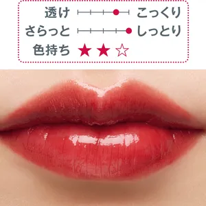 秋新色 リップ ツヤ口紅 KANEBO ルージュスターヴァイブラント EX13 2