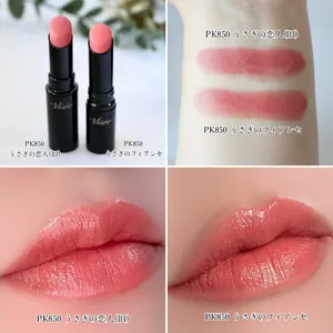 ヴィセ ネンマクフェイクルージュ Ⅱ 新旧比較 PK850 うさぎのフィアンセ