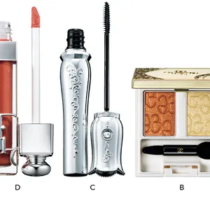 Q. テラコッタカラーって どう使えばいいの？